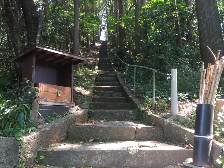 雨宮神社 トトロの森 熊本ガイド情報局